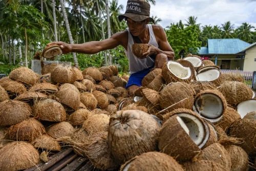 Virgin Coconut Oil Benefits